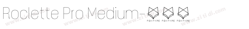 Roclette Pro Medium字体转换